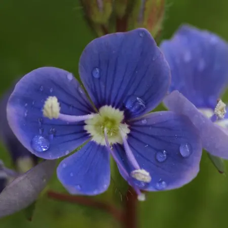 Vendégház Brandstaetterhof