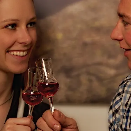 Brandstaetterhof 3* 슈라드밍