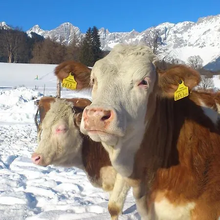 Brandstaetterhof 게스트하우스 3*