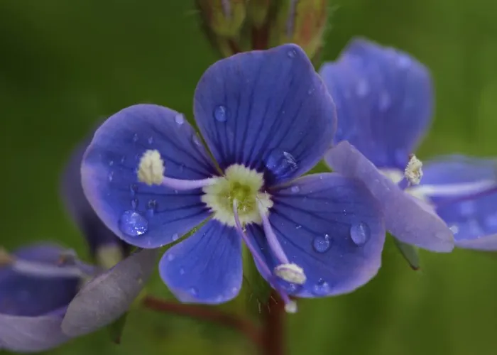 Gasthof Brandstätterhof