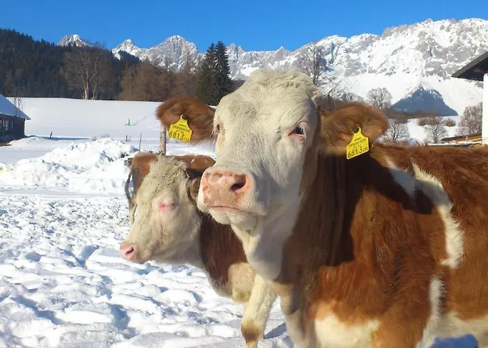 Brandstaetterhof Gasthuis 3*