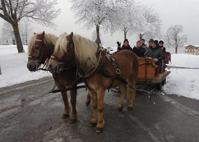 Guest house Brandstaetterhof 3*